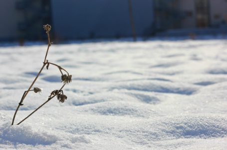 Bora zbardhi gjithë Kosovën, vazhdojnë reshjet e borës