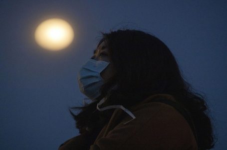 ​Lloji i ri i koronavirusit ‘danez’ zbulohet në Gjermani
