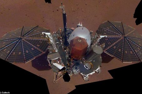 ‘Ikonike’: NASA publikon fotot e para pas uljes në Mars