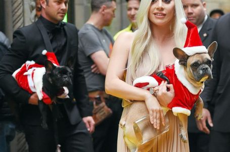Pas njoftimit për shpërblim prej 500 000 dollarësh, një grua i kthen Lady Gagas qentë e saj