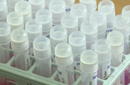 Nuk ka rritje të numrit të të infektuarëve në shkollat e Gjakovës