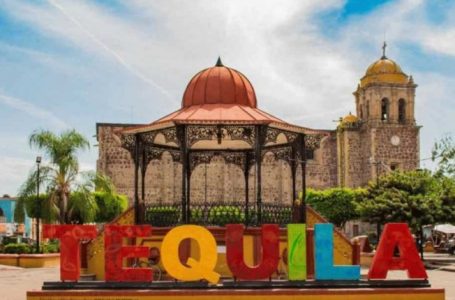 Udhëtimi në Tequila për të zbuluar sekretin e prodhimit të pijes së famshme(FOTO)