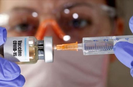 Mjekët shqiptarë në Evropë: Vaksinohuni!