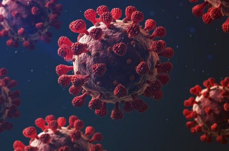Gashtë të vdekur nga coronavirusi dhe 587 raste pozitive për 24 orë