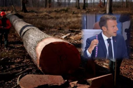 Franca pret 1 000 lisa të vjetër për kulmin e katedrales
