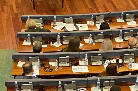 Deputetja e PDK-së i bashkohet Vetëvendosjes