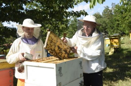 Njihuni me produktin mrekullibërës që lufton infeksionet e frymëmarrjes dhe forcon imunitetin