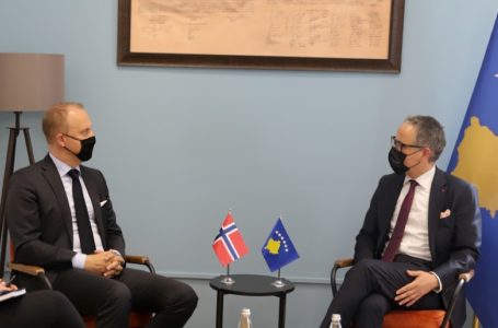Vitia dhe ambasadori norvegjez diskutojnë për menaxhimin e Covid-19