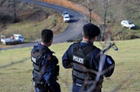 Tentoi t’i korruptojë me 20 euro policët në pikën kufitare në Han të Elezit, arrestohet shtetasi bullgar