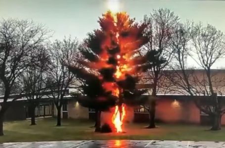 Rrufeja shkatërron pemën në oborr të shkollës (VIDEO)