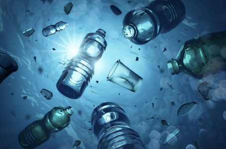 Shishet plastike, rreziku që vjen nga përdorimi i shpeshtë