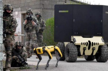 Ushtria Franceze teston qen robot për operacione luftarake