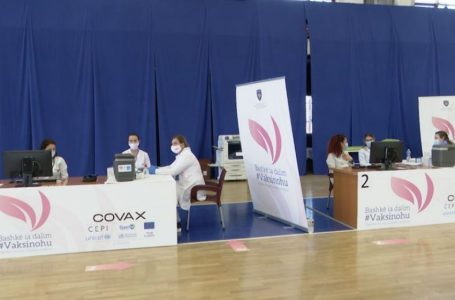 Mbi 600 mantelbardhë të vaksinuar deri më tani