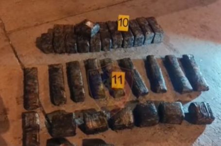 Kapen 49 kilogramë kokainë në portin e Durrësit të ardhura nga Ekuadori