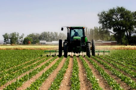 ​Hapet periudha e aplikimit për grante në bujqësi dhe zhvillim rural