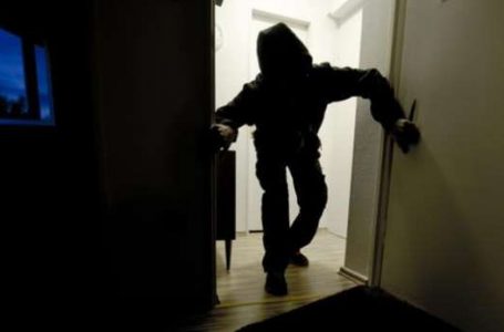 Policia arreston dy grupe të hajnave në Prizren