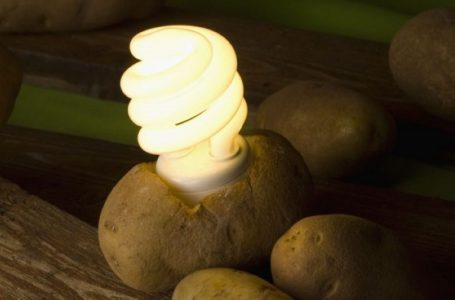 Patatet e ziera mund të furnizojnë me energji elektrike për 40 ditë
