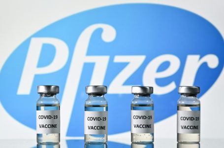 Pfizer teston ilaçin kundër koronavirusit, faza e parë deri më 25 maj