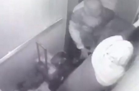 E drogojnë, e mbysin dhe e copëtojnë të birin. Gjithçka ndodhi pse ende ishte i pamartuar