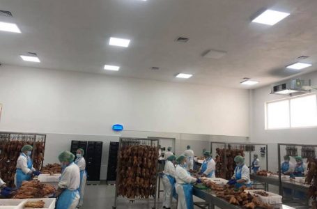 Kosova pranohet të eksportojë mishin e shpezëve në tregun 500 milionësh të BE-së