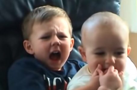 Mbi 760 000 dollarë për videon më virale të internetit