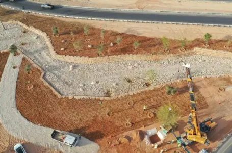 Arabia Saudite planifikon të mbjellë 10 miliardë pemë në shkretëtirë!
