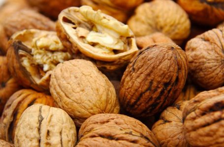 6 ushqimet që mbështesin rigjenerimin e qelizave
