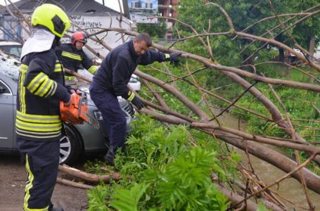 Kamenicë, si pasojë e shiut degët e pemëve bien mbi vetura