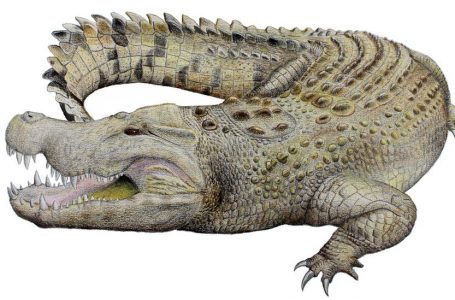 Zbulohet një specie e re e zhdukur e krokodilit