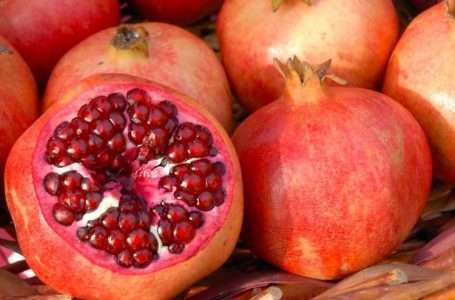 Frutat dhe perimet e kuqe për zemrën, gjakun dhe trurin
