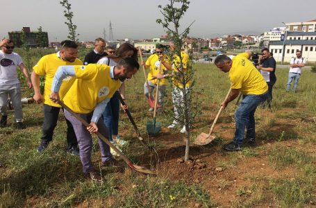 Komiteti Olimpik i Kosovës filloi mbjelljen e drunjve në Prishtinë