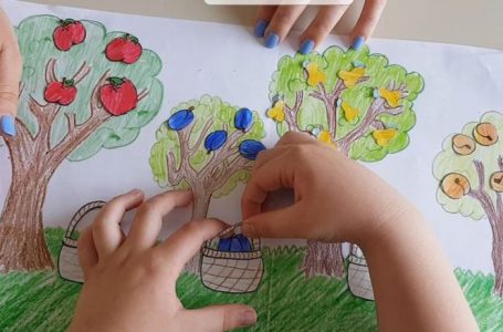 I mësojmë se çfarë janë pemët: një lojë logopedike që inkurajon zhvillimin e fëmijëve