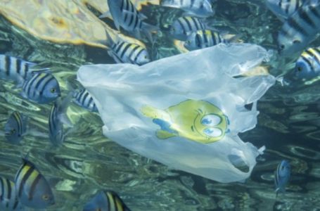 Nga do i vijë botës pandemia e ardhshme?