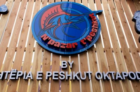 N’pazar t’peshkut, dyqani më i ri në Gjakovē