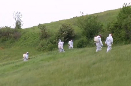 Ka filluar dezinsektimi në komunën e Gjakovës