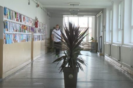 Sfidat e ndryshme të komuniteteve joshumicë për regjistrim në shkolla