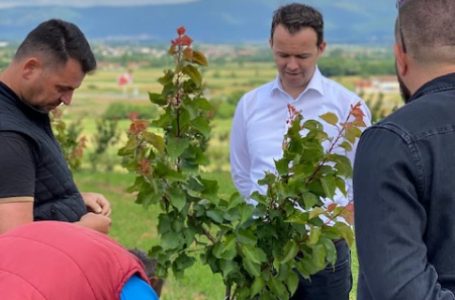 ​Ministria e Bujqësisë ekzekuton 9 milionë euro subvencione për fermerët