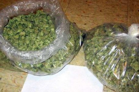 Policia bastis një shtëpi në Gjakovë, gjen mbi 1 kg marihuanë