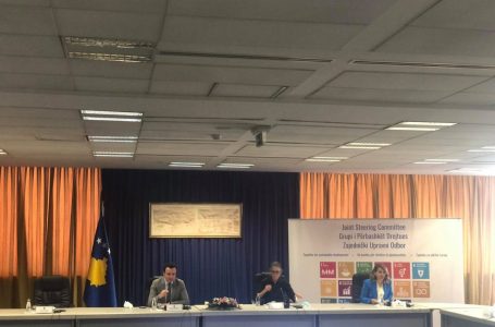Kurti: Prioritet kyç reforma në Administratën Publike dhe menaxhimi i pandemisë
