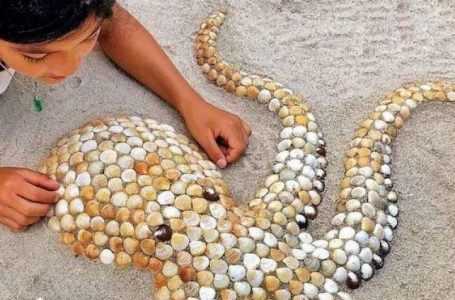 Artistja që krijon skulptura nga guacat e detit