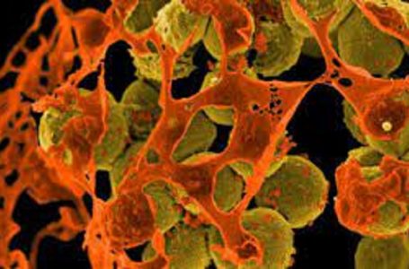 ​Shkencëtarët: Duhet të zvogëlojmë seriozisht përdorimin e antibiotikëve