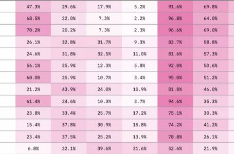 Statistikat nxjerrin Francën kampione
