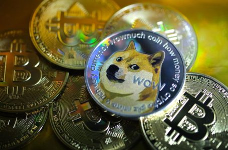Bitcoin dhe Dogecoin po bien përsëri