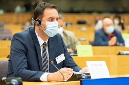 Konjufca në Parlamentin Evropian: Bllokimi i liberalizimit të vizave nga disa shtete është i paarsyeshëm