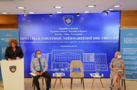 Mbi 14 milionë euro bizneseve për aftësi konkurruese