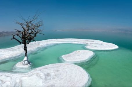 ‘Pema e jetës’ rritet në një ishull me kripë në mes të Detit të Vdekur