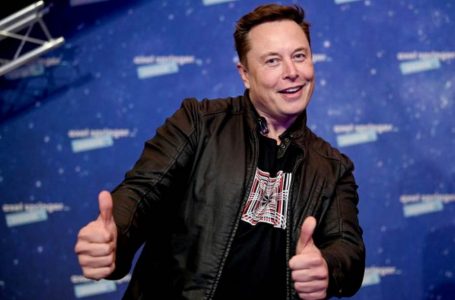 Elon Musk urren të qenit shef i Tesla