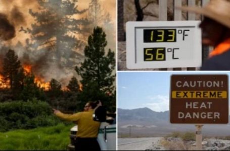 53 gradë Celsius, një tjetër valë e të nxehtit ekstrem po përvëlon Amerikën
