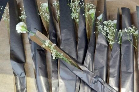 10 karafila të bardhë për 10 jetët e humbura në aksidentin tragjik në Kroaci
