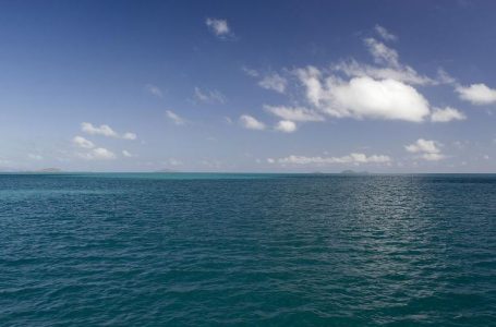 Kripësia e detit Adriatik në nivele rekord, ekspertët: Shumë specie do të zhduken